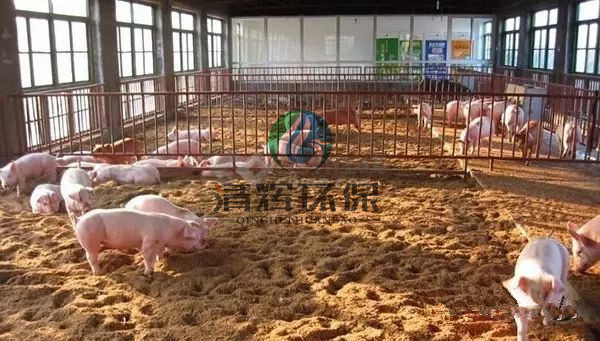 养殖污水处理、养猪场污水处理