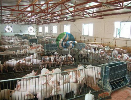 养殖污水处理、养猪场污水处理 养殖污水处理、养猪场污水处理